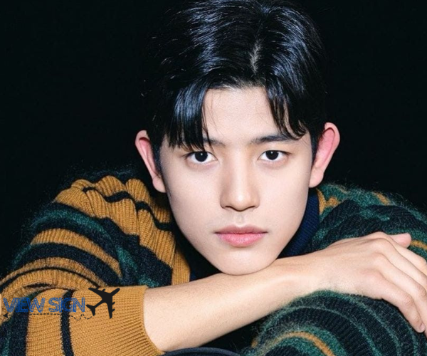 Who is Park Solomon Wiki, Biography, Height, Age, Girlfriend, Net worth, Family, Movies & More