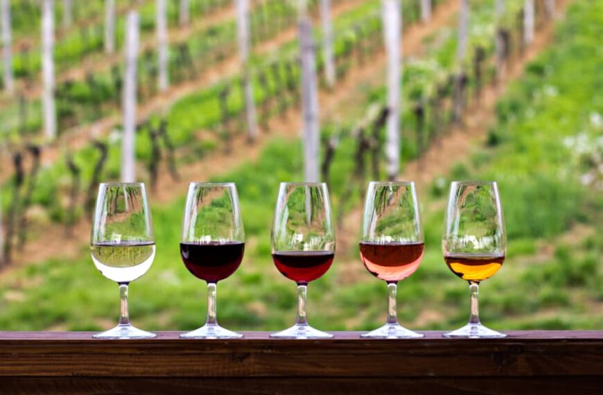 A Day in Sedona Wine Country: Itinerary Ideas for Your Winery Tour