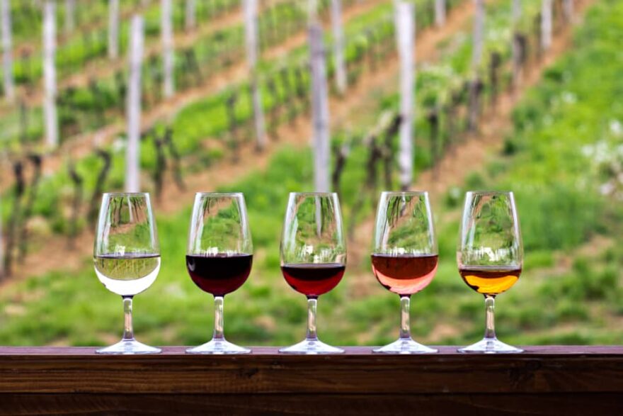 A Day in Sedona Wine Country: Itinerary Ideas for Your Winery Tour