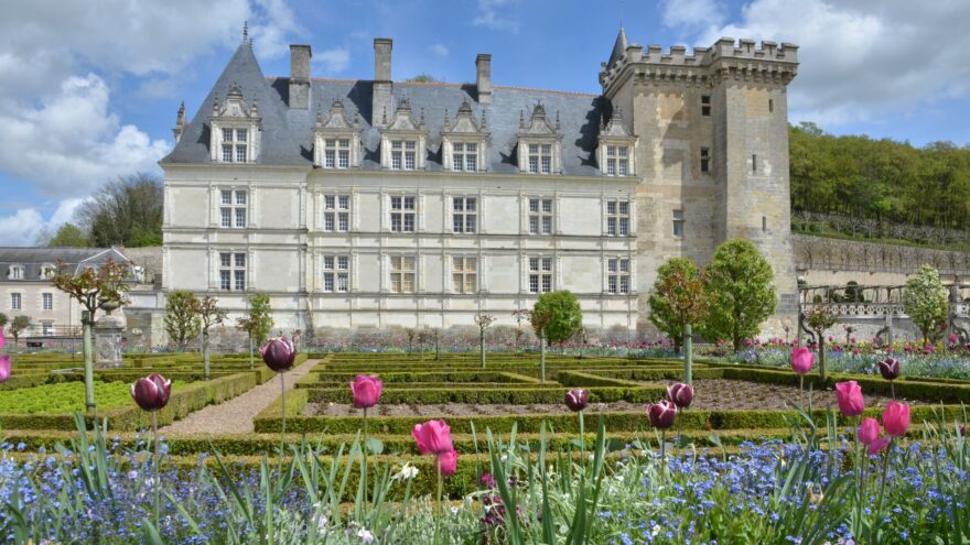 Villandry et ses jardins : tulipes au premier plan