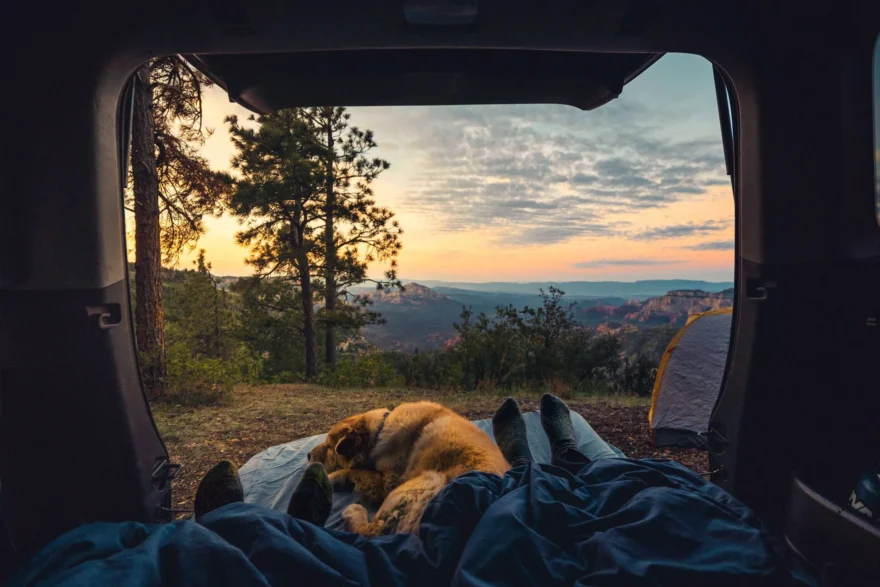 art of car camping